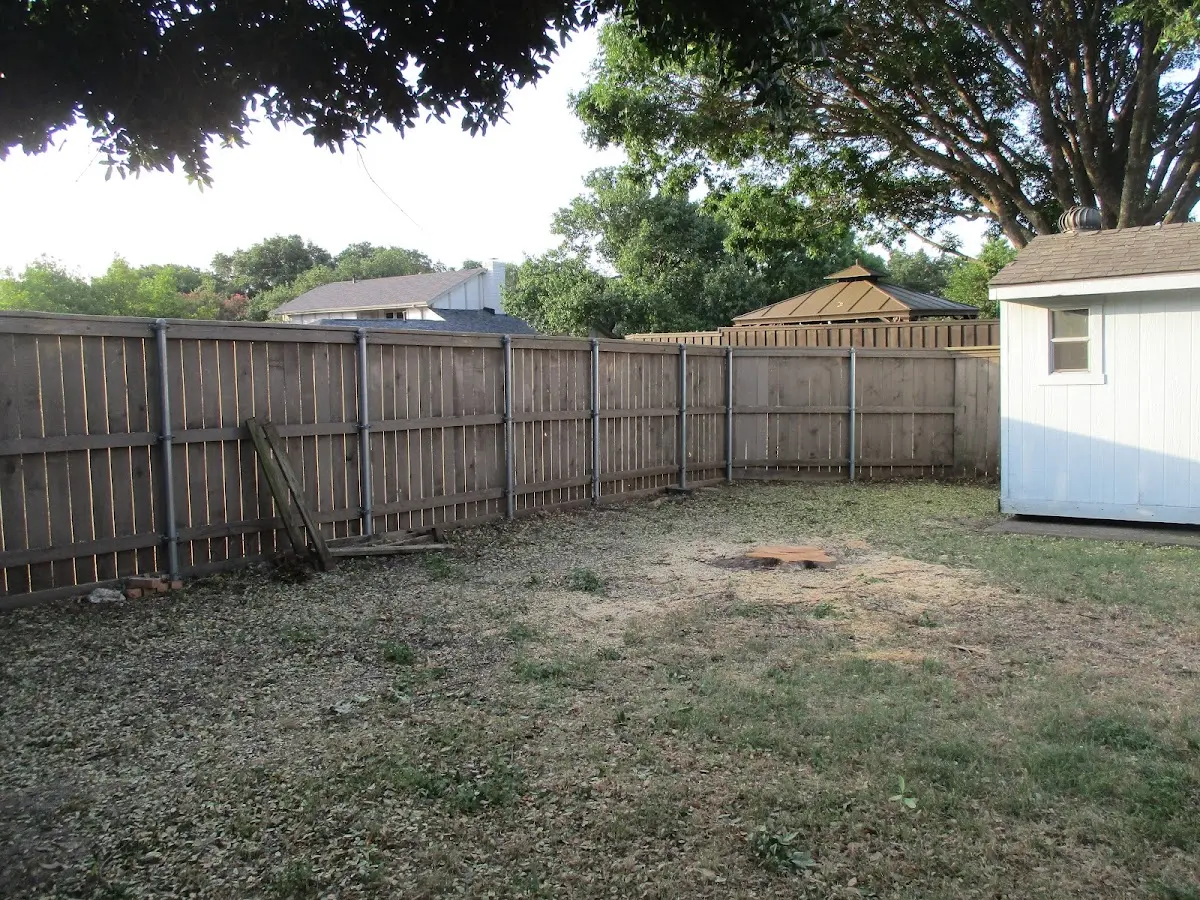 Cleared yard after professional tree removal in Fort Thompson